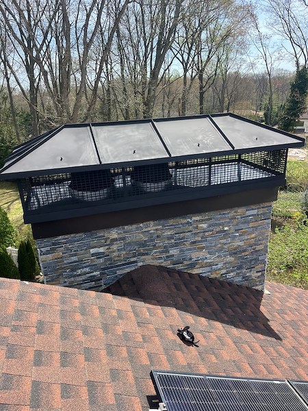 Animals in Your Chimney? What Highland Homeowners Should Know